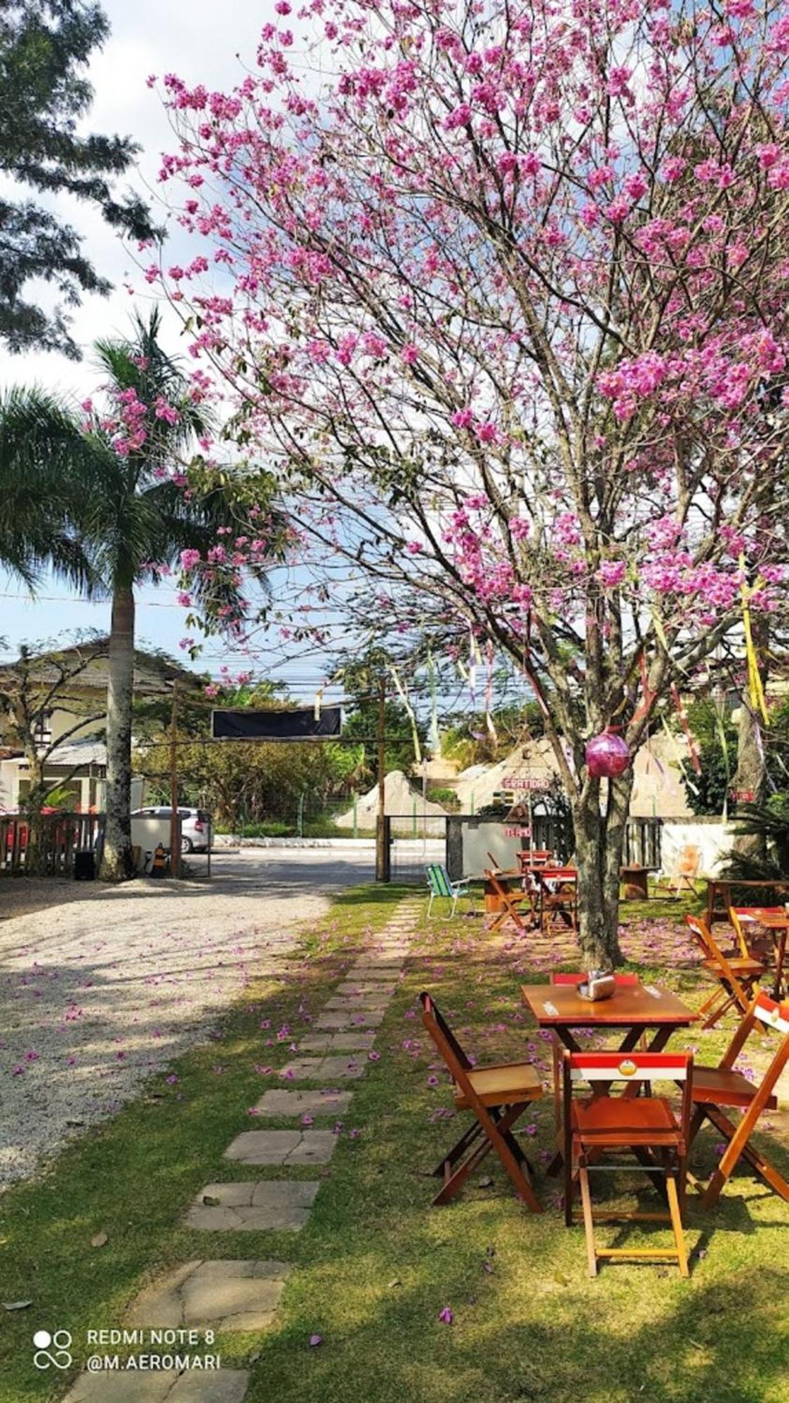 Nomades Vibe Da Ilha - Adventure Hostels & Coworking Florianopolis Luaran gambar